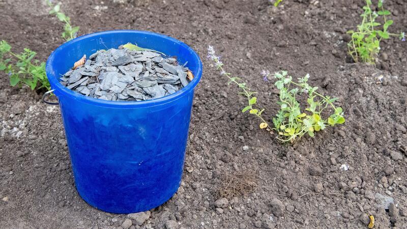 In Lüneburg sollen Schottergärten umgestaltet werden.