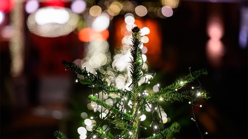Glühwein im Oktober - Wo die ersten Wintermärkte öffnen In Lüneburg stehen schon Tannenbäume.