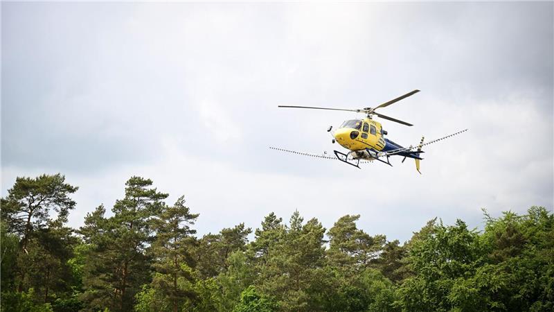 Hitze als Booster: Eichenprozessionsspinner werden zur Plage In Mecklenburg-Vorpommern, Sachsen-Anhalt und Brandenburg wurde vom Hubschrauber aus bakterienbasiertes Insektizid versprüht.