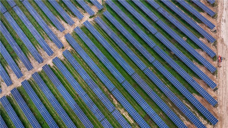 In Mecklenburg-Vorpommern hat Vattenfall 2025 einen Agri-Photovoltaik-Park in Betrieb genommen. Agri-Photovoltaik beschreibt, dass Flächen gleichzeitig für die Landwirtschaft und die Stromerzeugung genutzt werden. (Archivbild)