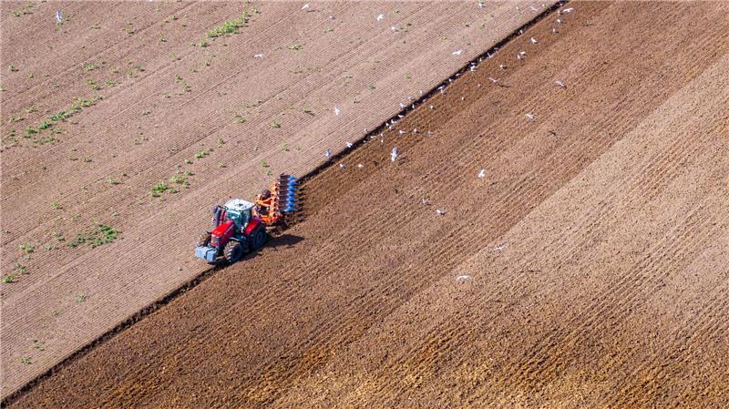 In Medewege zieht ein Traktor einen Pflug über einen Acker und bereitet den Boden für die nächste Aussaat vor. 
