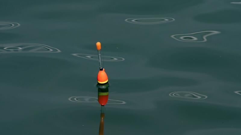 Angler stirbt bei Tragödie auf Möllner Stadtsee In Mölln ist ein Ruderboot mit drei Anglern an Bord am späten Samstagabend gekentert. (Archivfoto/Symbolbild)