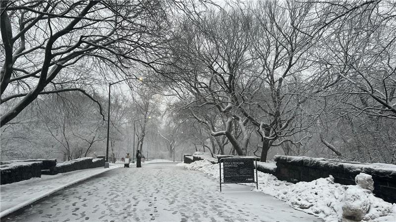 In New York legt der viele Schnee das öffentliche Leben lahm.