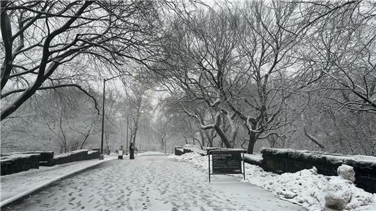 In New York legt der viele Schnee das öffentliche Leben lahm.