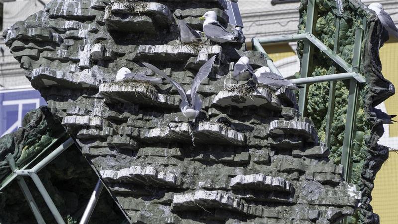 Möwen in einem sogenannten Möwenhotel in Norwegen. 