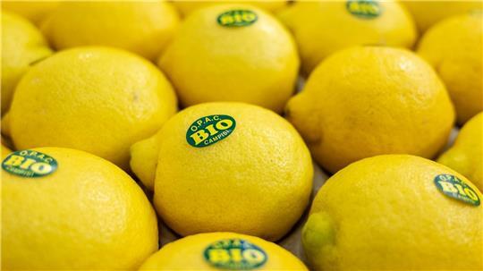 In Nürnberg eröffnet die weltweit größte Messe der Biobranche. Produkte aus nachhaltigem Anbau boomen (Archivbild). 