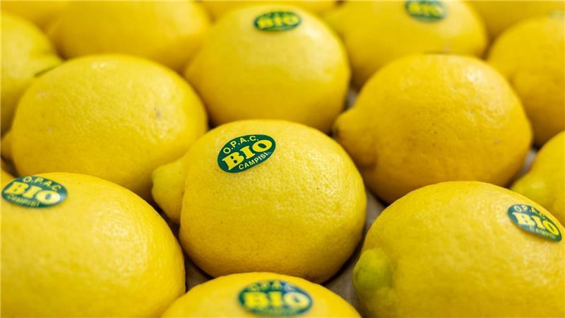 In Nürnberg eröffnet die weltweit größte Messe der Biobranche. Produkte aus nachhaltigem Anbau boomen. (Archivbild)