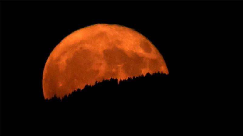 In Oberbayern wirkte der aufgehende Erdbeermond hinter dunklen Wäldern besonders groß.