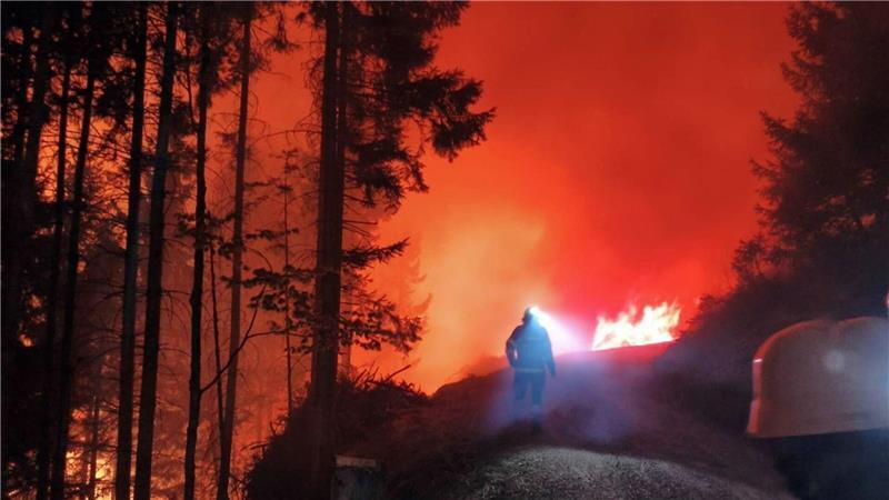 In Österreich steht eine Fläche von 110 Hektar in Flammen.