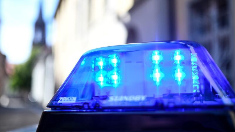 In Reinbek wurde die Polizei zu einem Unfall mit einem Pferd gerufen. (Symbolbild)