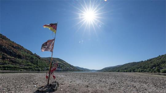 In Rheinland-Pfalz zeigt sich das ausgetrocknete Flussbett des Rheins.