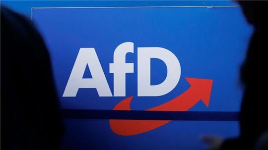 In Sachsen, Thüringen und Brandenburg liegt die AfD in Umfragen mit Blick auf die anstehenden Landtagswahlen teils deutlich vorne.