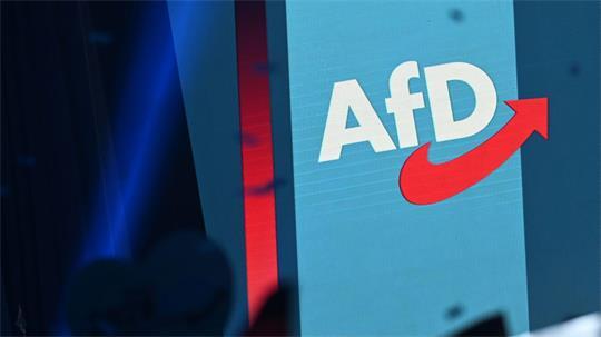 In Salzgitter schnitt die AfD gut ab - doch nicht nur dort.