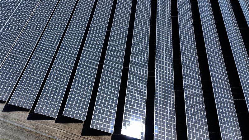 In Schleswig-Holstein sind 2025 so viele neue Solaranlagen installiert worden wie nie zuvor. (Symbolbild)