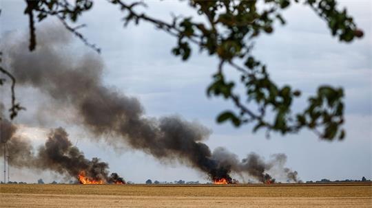 In Schleswig-Holstein und Mecklenburg-Vorpommern gab es mehrere Brände auf Getreidefeldern. (Symbolbild)