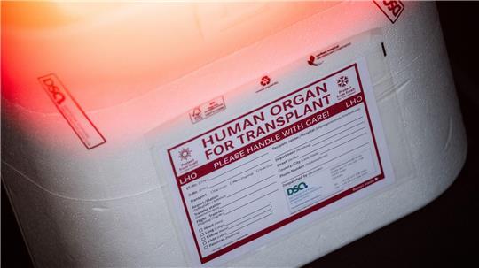 In Schleswig-Holstein warten 427 Patientinnen und Patienten auf eine Organspende. (Symbolbild)