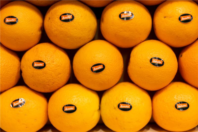In Süditalien hat die Orangenernte im Winter Hochkonjunktur. Foto: dpa-Bildfunk