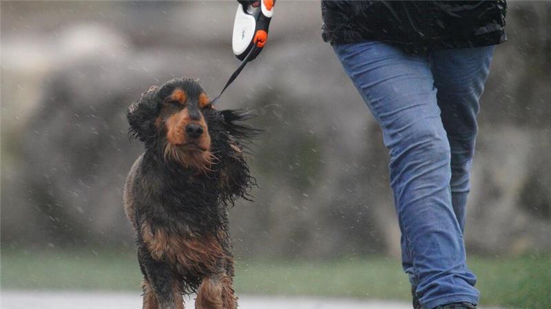 Ein Toter bei Sturm in England - Viele Haushalte ohne Strom In Teilen von Wales galt die stärkste Wetterwarnung: „Lebensgefahr“.