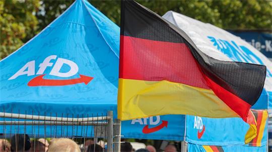 In Umfragen klar vorn: die AfD in Sachsen-Anhalt. 
