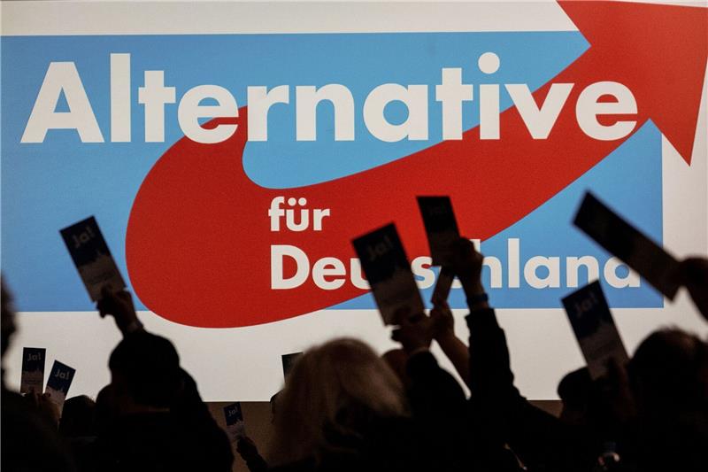 AfD in Umfragen klar zweitstärkste Kraft In Umfragen kommt die AfD auf mehr als 20 Prozent.
