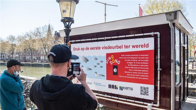 In Utrecht in den Niederlanden gibt es eine Schleuse mit virtueller Türklingel für Fische. 