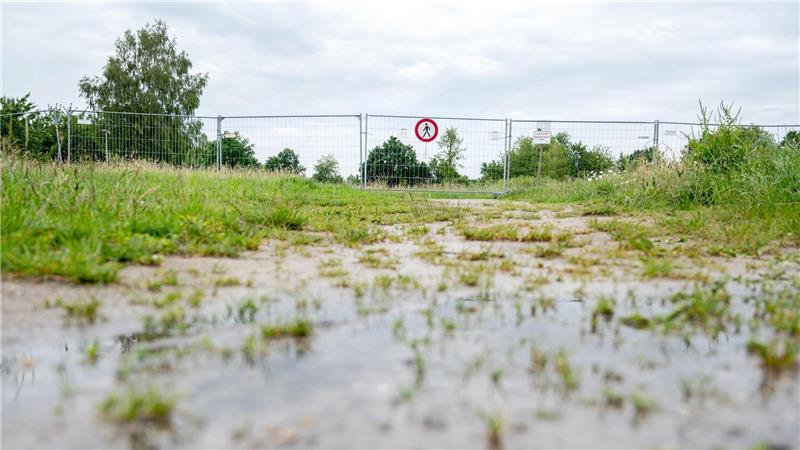 In Vechta ist der Bereich um ein Regenrückhaltebecken gesperrt, es wird dort versucht, einen Alligator mit einer Lebendfalle einzufangen. 