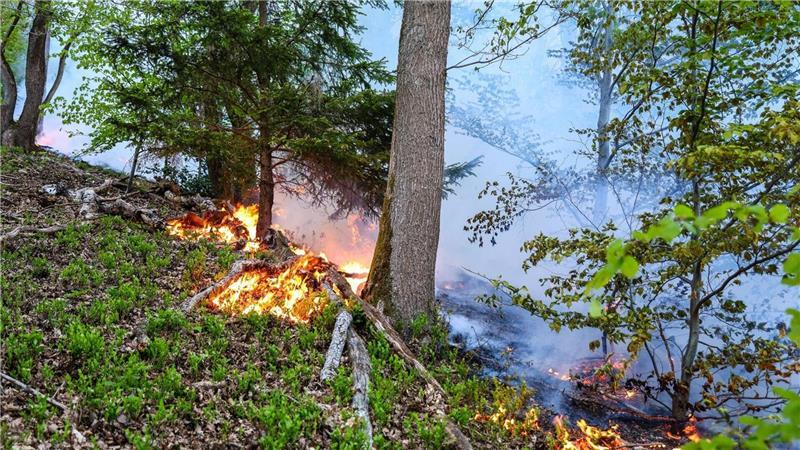 In Werdohl näherten sich die Flammen einer Wohnsiedlung, konnten aber gestoppt werden.