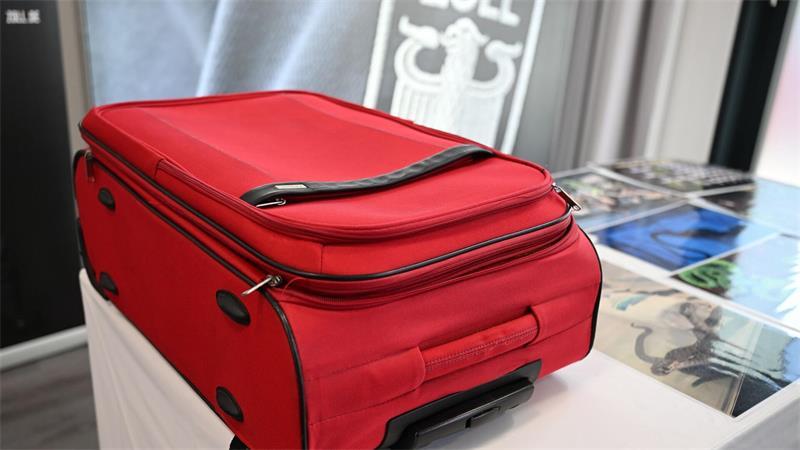 In dem Koffer steckten 37 Giftschlangen und 55 Echsen.