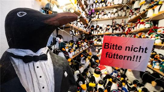 In dem Museum können Besucher unter anderem Pinguine als Plüschtiere und Sammlerfiguren besichtigen. (Archivbild)