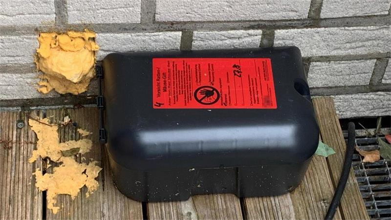 Rattenplage in Zeven: Schreiben aus Rathaus erzürnt Anwohner In den Gärten am Eschenweg und im Erlenweg sollen jetzt Köderboxen helfen, um gegen die Ratten vorzugehen. Ein Schädlingsbekämpfer war bereits vor Ort.
