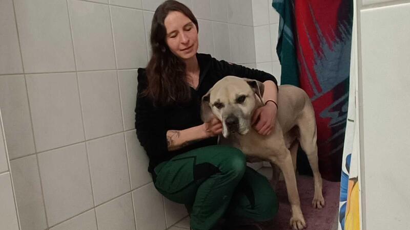 In den Händen von Julia Weber schmilzt Dango dahin.