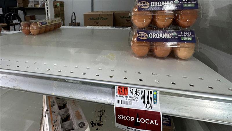 Ostern in den USA - Eier oder Kartoffeln färben? In den USA sind die Eier knapp - das führt zu höheren Preisen. (Archivbild)