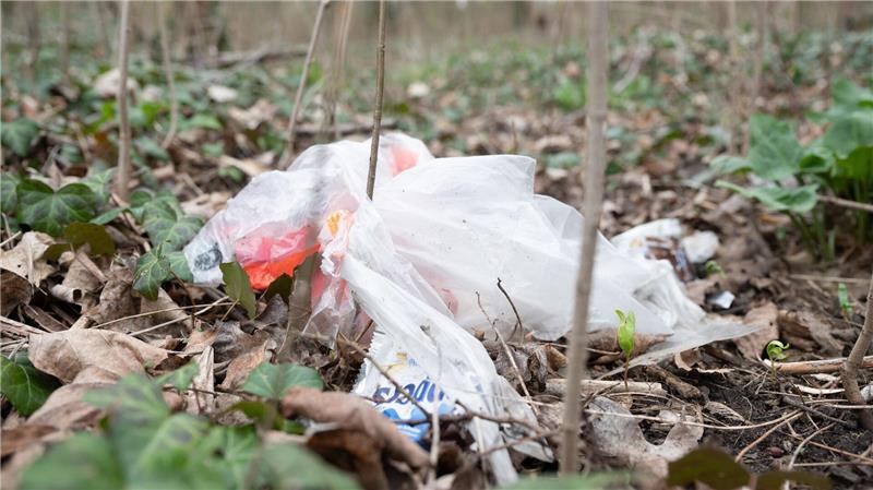 In den Wald geworfener Müll ist ein großes Problem auch in Schleswig-Holstein. (Symbolfoto)