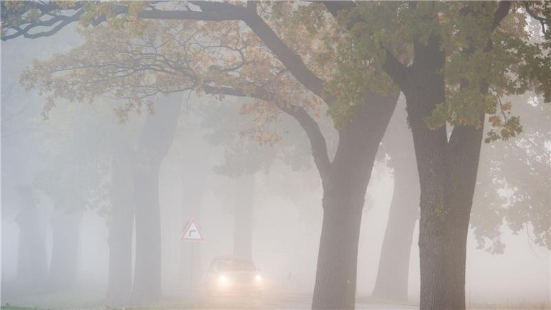 Mix aus Nebel, Sonne, Regen - keine Wetteränderung in Sicht In den allermeisten Ecken Deutschlands bleibt es auch in den kommenden Tagen weitgehend trüb, etwas Hoffnung auf Sonne gibt es für den Südwesten.
