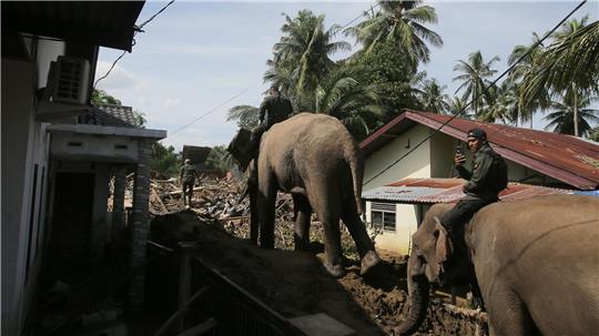 In den betroffenen Gebieten im Norden Sumatras gibt es stellenweise nur für Elefanten ein Durchkommen. 