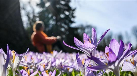 In den kommenden Tagen soll es in Deutschland bis zu 20 Grad werden.