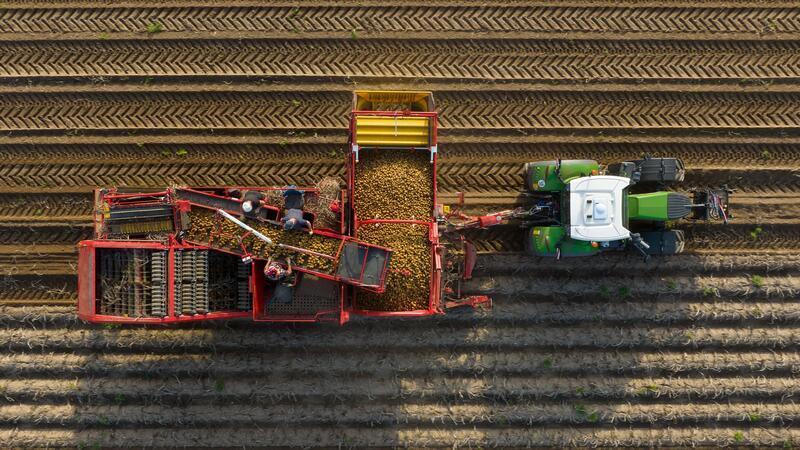 Kartoffel- und Maisernte beginnt: Worauf Autofahrer achten müssen In den nächsten Wochen sind viele landwirtschaftliche Fahrzeuge unterwegs auf den Straßen. (Symbolbild)