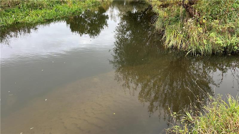 Aue leidet unter Verstopfung: Warum 6500 Kubikmeter Sand rausmüssen In der Aue hat sich viel Sand abgelagert - auch auf Höhe der Brücke am Mühlenkamp im Flecken Horneburg neben den Fischteichen von Wilke.