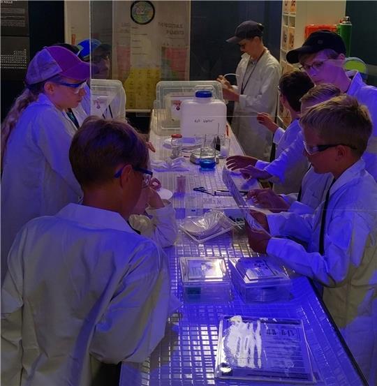 In der Ausstellung „Bausteine der Chemie“ dürfen Kinder an den Montagen in den Sommerferien selbst Experimente durchführen. Foto: Hillrichs/Natureum