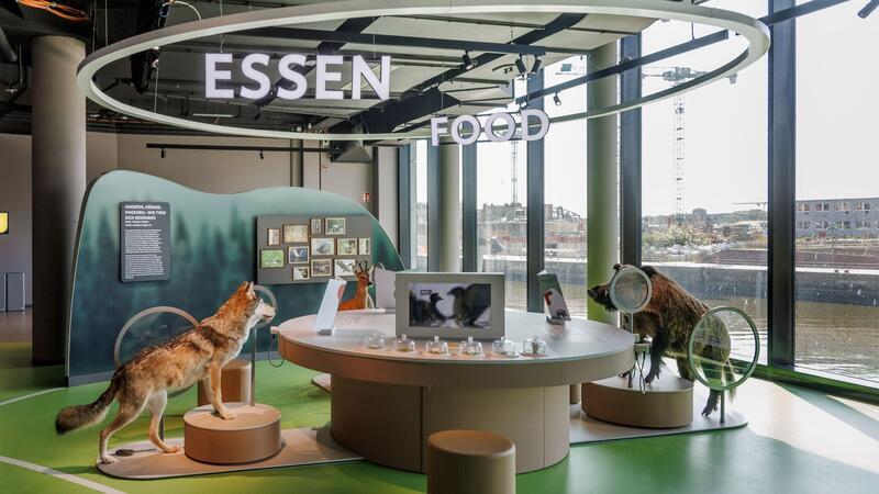 In der Ausstellung erfährt man zum Beispiel, was Wildtiere fressen.
