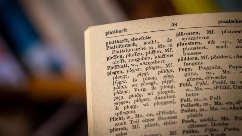 Nele Otten leitet weltgrößte Bibliothek für Plattdeutsch In der Bibliothek sind auch viele Wörterbücher zu finden.
