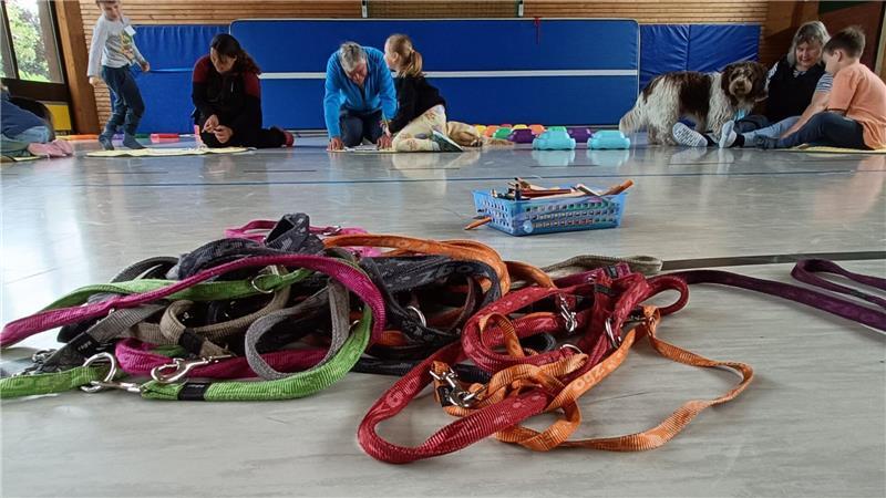 In der Hallenmitte wartet ein Haufen Leinen auf Kinder und Hunde.