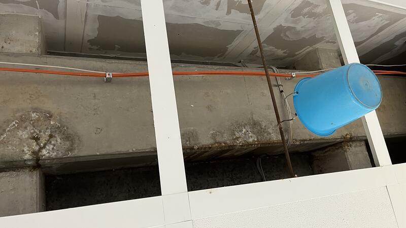 In der Integrierten Gesamtschule Buxtehude konnten durch Raumluftmessungen Schimmelsporen aufgedeckt werden. Die Wasserschäden sind mindestens über einen Zeitraum von zweieinhalb Jahren aufgetreten.