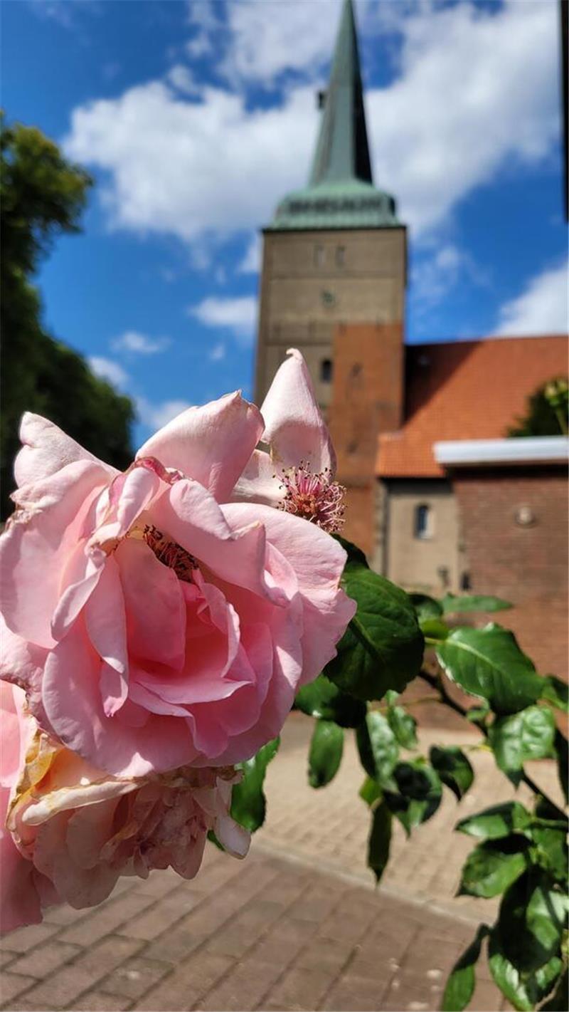 In der Langen Straße: Für Sandra Langheim gehört diese Wremer Dorfstraße zu den schönsten im Wurster Land. Foto: Leuschner