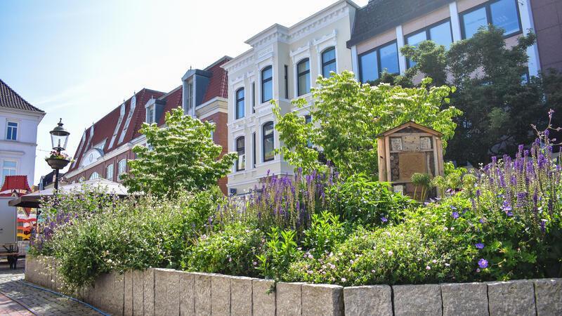 Hollywoodreif: Mit ChatGPT auf Entdeckungsreise durch Buxtehude Ein Pflanzenbeet in der Langen Straße in der Buxtehuder Altstadt mit Häusern im Hintergrund.