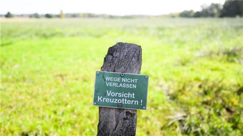 In der Lüneburger Heide hängen Warnschilder. Nach einem Biss soll man sich in ärztliche Beobachtung begeben.