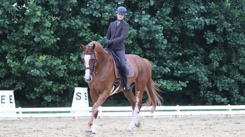 Vom Dressurviereck vor die Rinderherde und zur Deutschen Meisterschaft In der Masterclass halten die Reiter die Zügel in einer Hand und dürfen nur kurz mit der zweiten nachfassen. Carolin Böhmke aus Belum mit ihrer Hannoveraner-Stute im Dressurviereck.