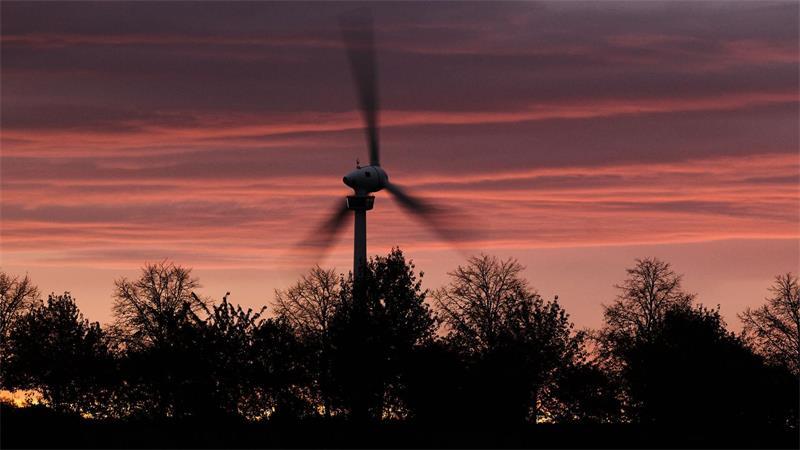 In der Nacht mussten in Niedersachsen erste umgestürzte Bäume und abgebrochene Äste beseitigt werden. (Symbolbild)