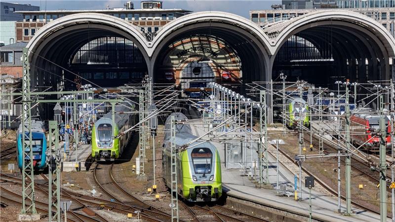 Höhenretter bergen Eule aus Dach des Kieler Hauptbahnhofs In der Nähe einer Oberleitung hat sich eine Eule in der Dachkonstruktion verfangen. (Symbolbild)