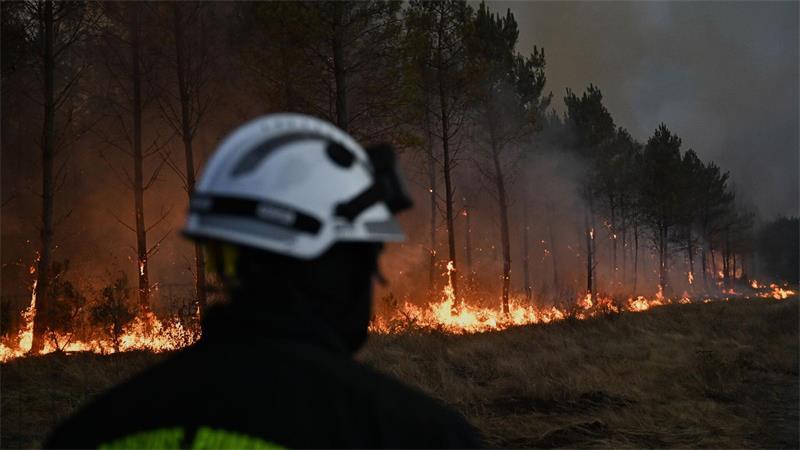 Wie wird der Wald brandfester? Eichen als Feuerschutz In der Nähe von Bordeaux brannten dieses Jahr Nadelwälder auf einer riesigen Fläche. (Archivbild)